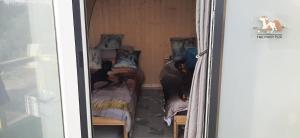 a room with two beds in a room with a window at "PONY POD" at Nelson Park Riding Centre Ltd in Kent