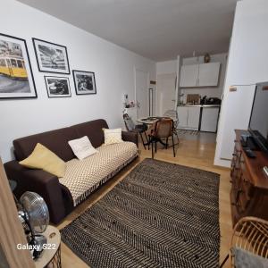 - un salon avec un canapé et un tapis dans l'établissement Saint Ouen Appartement cosy, à Saint-Ouen