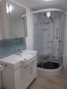un bagno bianco con lavandino e doccia di La Petite Maison, idéal pour velo,pied,peche,relax a Mûr-de-Bretagne