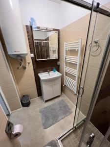 a bathroom with a sink and a shower with a mirror at Wohnung 18A in Lutherstadt Eisleben