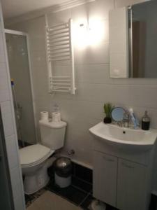 a bathroom with a toilet and a sink at CKBSM Athens Center Apartment 2 in Athens