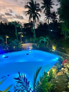 a swimming pool at night with palm trees at Isola del Sole Villas and Resort in General Luna