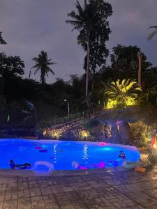 una piscina con pingüinos nadando en ella por la noche en Isola del Sole Villas and Resort, en General Luna