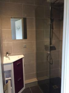 a bathroom with a shower and a sink at Charmant Appartement Lac d'Annecy / Ski - 6 Pers in Menthon-Saint-Bernard +12 photos