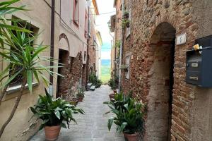 Une allée avec des plantes en pot dans un vieux bâtiment dans l'établissement L'angolo del Barbacane, à Terricciola