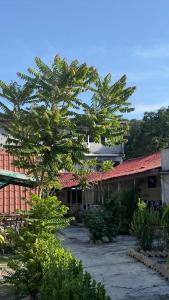 a building with a tree in front of a courtyard at INTAN CHALEt in Pangkor
