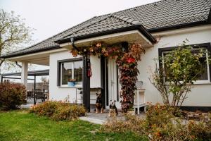 Zahrada ubytování Big Garden House
