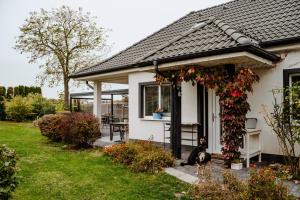 a dog sitting outside of a white house at Big Garden House in Dunajská Streda