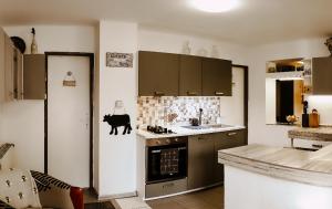 Kuchyň nebo kuchyňský kout v ubytování Big Garden House