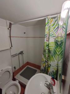 a bathroom with a toilet and a shower curtain at Γκαρσονιέρα "Ελευθερία" Παλιά πόλη in Xanthi