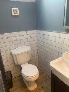 a bathroom with a white toilet and a sink at Swallows Nest in Gotham
