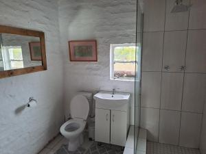 un baño con inodoro y lavabo en De Hoop Guest Farm, en Beaufort West