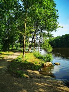 a path next to a body of water with trees at Seeromantik in Amelinghausen