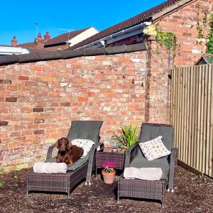un chien assis dans une chaise sur une terrasse dans l'établissement Village Escape, à Messingham
