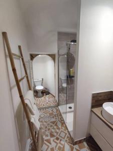 a bathroom with a shower and a toilet and a mirror at La petite bascule in Orléans