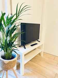 a tv on a white table with a potted plant at 2 Zimmer Traum NEU in BFH nähe Audi Lidl für 1-2 Personen in Bad Friedrichshall