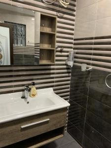 y baño con lavabo, espejo y ducha. en Family & Friends Apartments, en Miocho