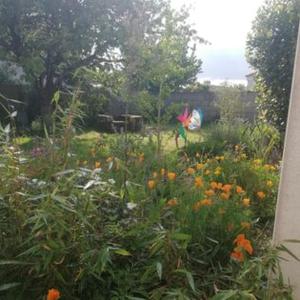 une personne détenant un cerf-volant dans un champ de fleurs dans l'établissement LA VIE DOUCE, à Boussay