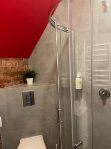een badkamer met een glazen douche en een toilet bij B&B vis a vis Zamku in Malbork