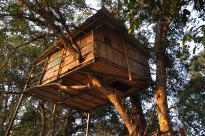 索拉哈Pemsee's Tree Town - Eco-friendly,Tree house hostel的相册照片