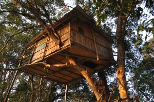 a tree house in a tree at Pemsee's Tree Town in Sauraha