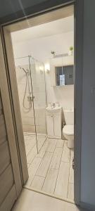 a bathroom with a shower and a toilet at Costa del Hel in Hel