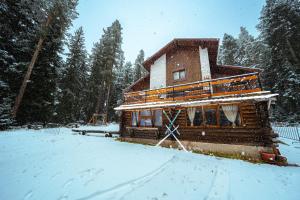 uma cabana de madeira na neve com neve em House Shiligarnika em Bansko