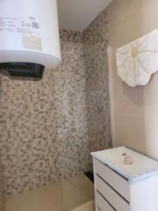 a bathroom with a shower with a counter and a sink at appartement in Charneca