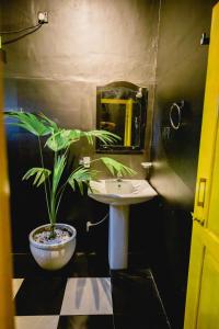 Sugar Hostel Weligama - Coliving & Coworking في يليغاما: حمام مع حوض وزرع الفخار