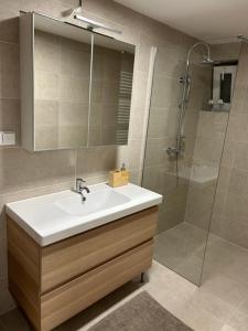 Fotografie z fotogalerie ubytování Red Travel Apartment v destinaci Dvůr Králové nad Labem