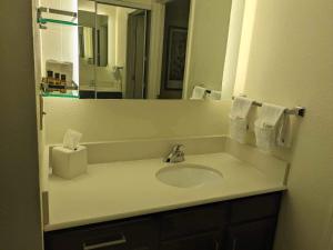 een badkamer met een wastafel en een spiegel bij ReVi Columbus North in Columbus