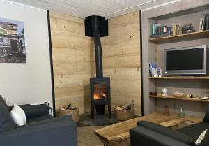 a living room with a fireplace and a tv at La ferme d'Auguste in Thorens-Glières