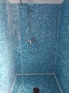a bathroom with a shower with blue tiles at Appart de charme au bord de l'eau 