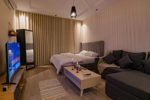ein Wohnzimmer mit einem Sofa und einem TV in der Unterkunft استديو أنيق بمدخل ذاتي بجانب البوليفارد in Riad