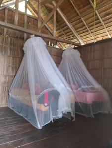 two beds in a room with mosquito nets at Raja Ampat Diva homestay in Waisai