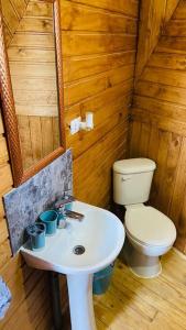 a bathroom with a toilet and a sink at Domo Papudo in Papudo