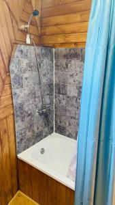 baño con ducha con cortina azul en Domo Papudo, en Papudo