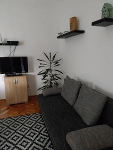 sala de estar con sofá y TV en Repi-Tár apartman, en Szolnok