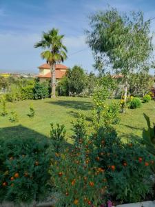 a garden with a palm tree and some flowers at VILA MOZAIK in Kavajë