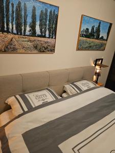 een slaapkamer met een bed met 2 kussens erop bij Artz of Nature in Emmen