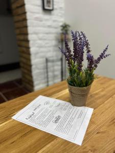 Fotografie z fotogalerie ubytování Guest House LILA v destinaci Sombor