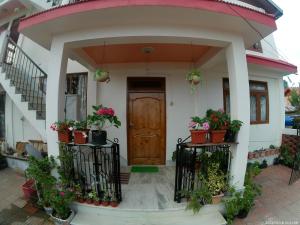 a house with potted plants on the front porch at Seyon Homestay in Kalimpong