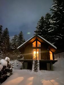 une cabine dans la neige avec les lumières allumées dans l'établissement Bramble Tiny House, à Zărneşti