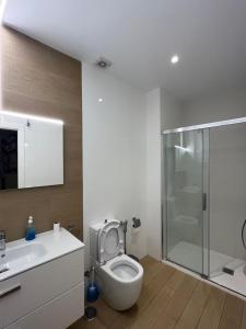 La salle de bains est pourvue de toilettes, d'un lavabo et d'une douche. dans l'établissement Suites Larios, à Malaga