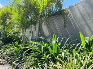 a bunch of plants in front of a building at Flat in Rustenburg in Rustenburg