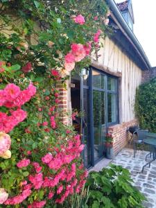 a bunch of pink roses on the side of a building at la grange Saint Georges in Hermaville