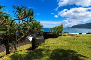 a beach with a palm tree and the ocean at Appartement «Le Ti songe» in Saint-Joseph