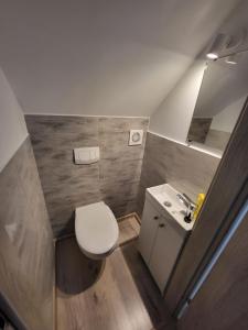 małą łazienkę z toaletą i umywalką w obiekcie Sosnowe Wzgórze - Wypoczynek w Zagórzu Śląskim 1 w Zagórzu Śląskim