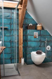 W łazience znajduje się toaleta i przeszklony prysznic. w obiekcie Dom W Trawie w Drawsku Pomorskim