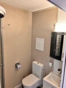 AFA في غوشينن: حمام صغير مع مرحاض ومغسلة